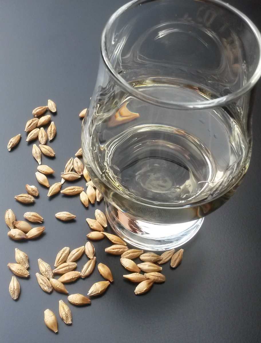 Whisky et Gluten